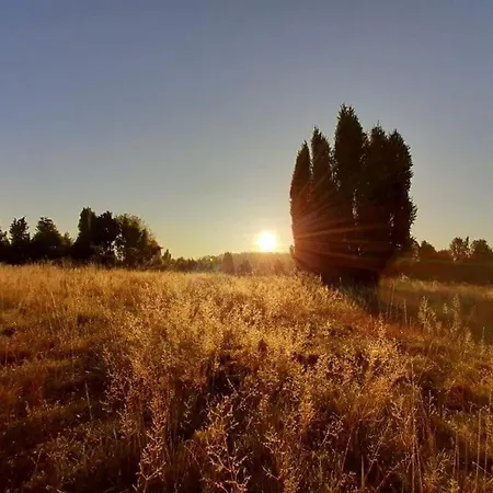 Appartamento At The Eichenpark Dohle