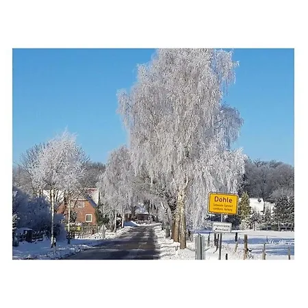 At The Eichenpark * Dohle