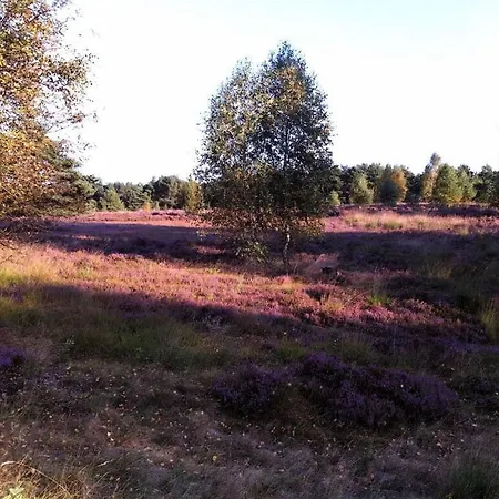 At The Eichenpark Appartamento Dohle