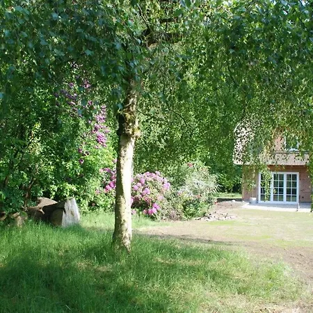 At The Eichenpark Appartamento Dohle