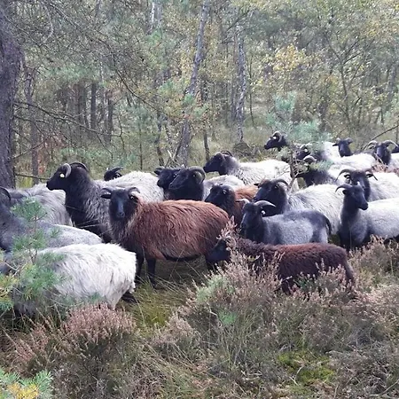 Appartamento At The Eichenpark Dohle